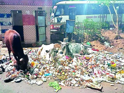 23 जनवरी से जयपुर में सफाई व्यवस्था वेंटीलेटर पर