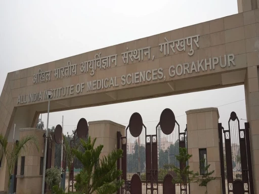 aiims gorakhpur recruitment 1698654244