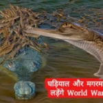 america asked for gharial and crocodile from india 1705567912