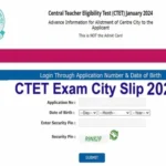 cbse ctet 2024 exam city slip list out download admit card 1705117858