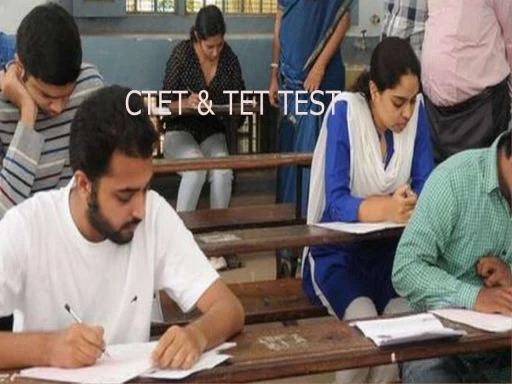 ctet and tet test 1699092512