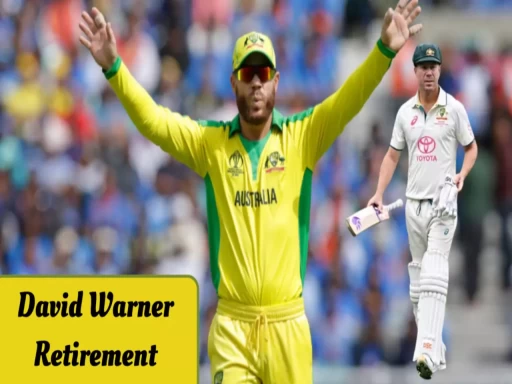 david warner retirement test odi cricket 1704080242