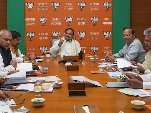 jp nadda amit shah meeting 1686112296