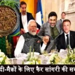 kair sangri sabji in modi macron dinner rambah palace 1706186059 1