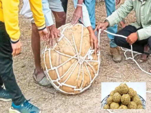 makar sankranti dada kehl anwa 1705126074