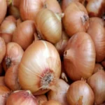 onion price 1695184871