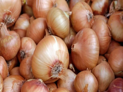 onion price 1695184871