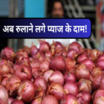 onion price hike india 1693223382