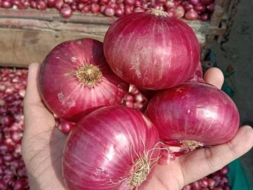 onion price increase 1691220455