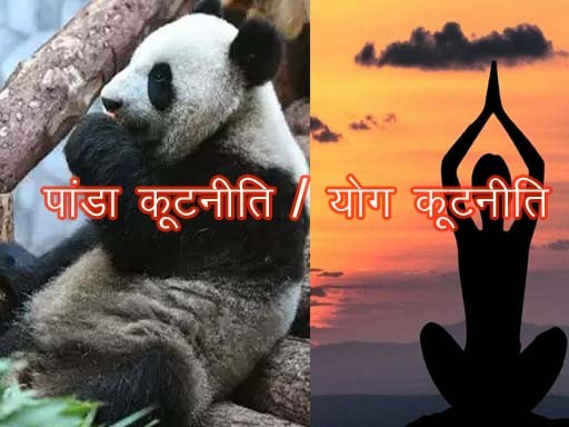 panda kutniti yog kutniti 1687343480