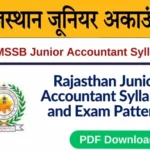 rajasthan junior accountant syllabus in hindi pdf 1704869334