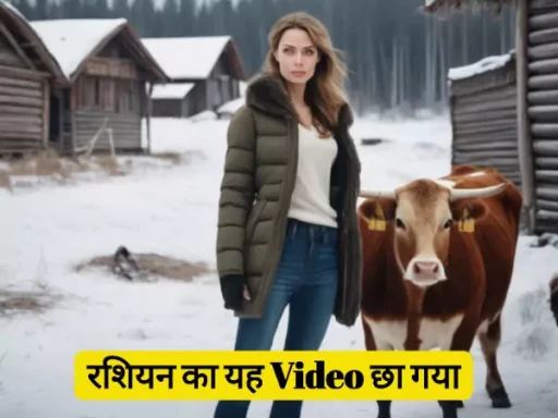 russian cow video wearing vr glasses 1705115392