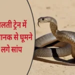 snake uttar pradesh chambal express train 1694495800