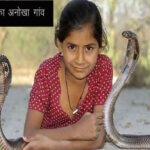 snake village in maharshtra 1693128250