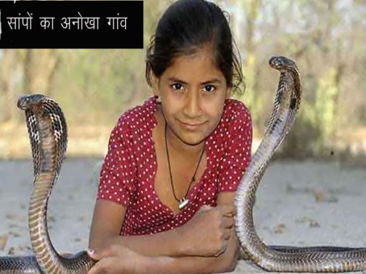 snake village in maharshtra 1693128250