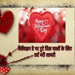 valentine day sad shayari 1706330326