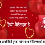 valentine day shayari 1706332698