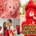 valentine day teddy bear 1706344969