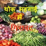 wholesale inflation 1686810224