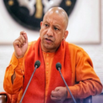 yogi 1684991972