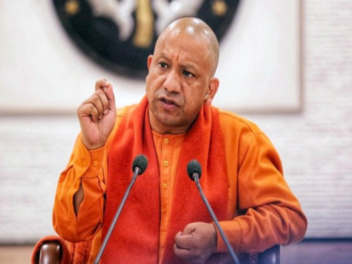 yogi 1684991972