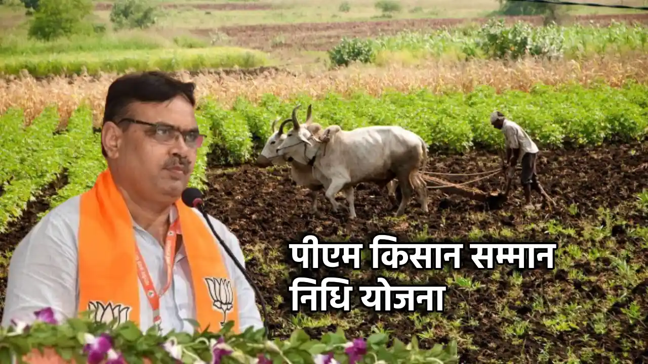 PM Kisan Samman Nidhi Yojana, PMKSNY, PM Kisan Samman Nidhi Yojana e-kyc verification, govt scheme, govt schemes, rajasthan news in hindi, rajasthan govt scheme,