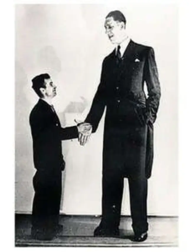 tallest person in the world,tallest person in the world in history,tallest person in the world alive,tallest person in india,tallest person histroy,tallest person alive, tallest person image