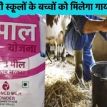 Cow Milk Will In Rajasthan Schools