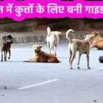 Rajasthan Dog Guidelines 2024