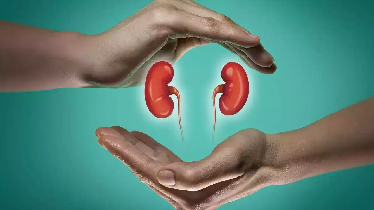 World Kidney Day