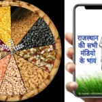 Mandi Bhav App Download Online Raj Mandi App