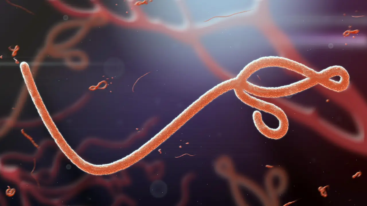 Ebola Virus, China news, science news, world news, interesting facts in hindi,