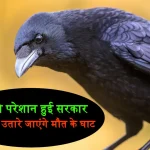 Indian Crows Killing in Kenya