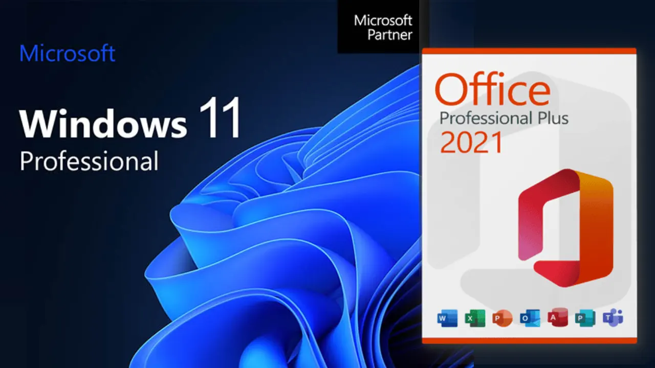 MS Office 2019 Offer, MS Windows 11 Pro Price, MS Windows 11 Pro offer,