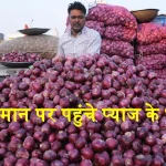 Onion Price Increase Pyaj Kya Bhav Hai