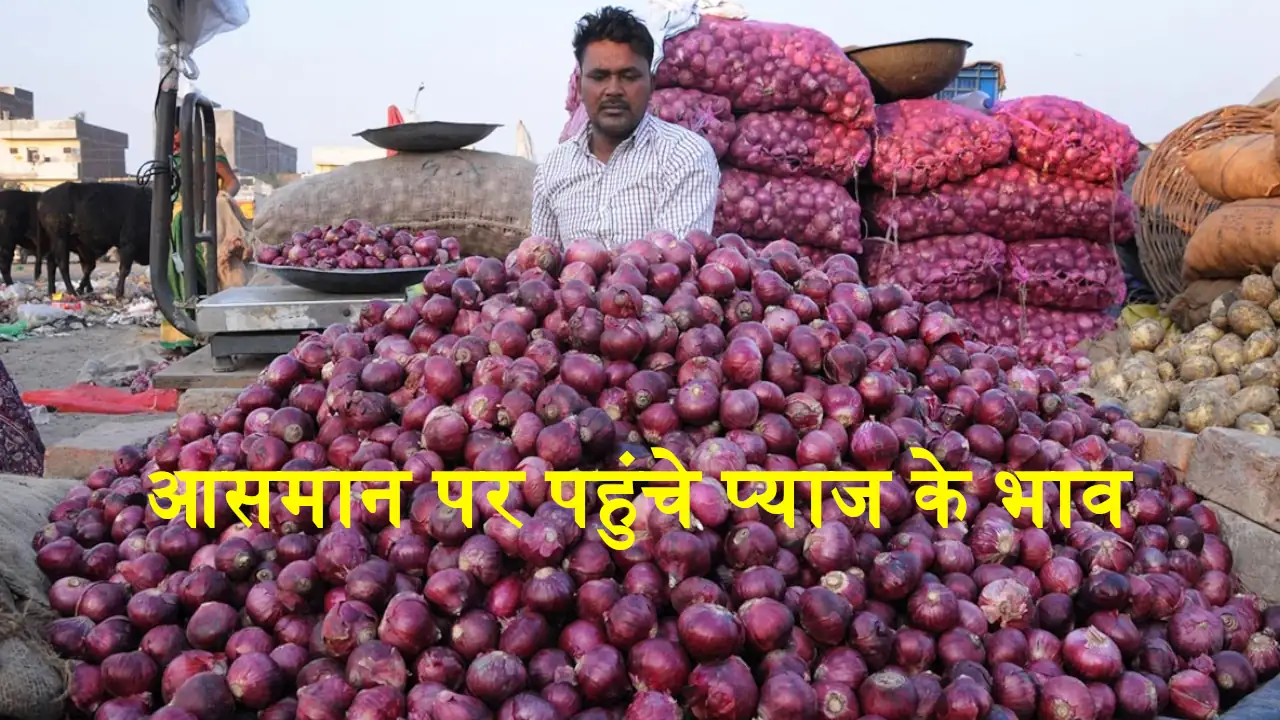 Onion Price Increase Pyaj Kya Bhav Hai