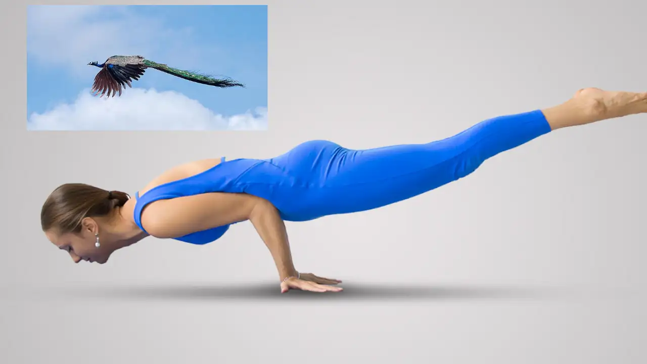 mayurasana