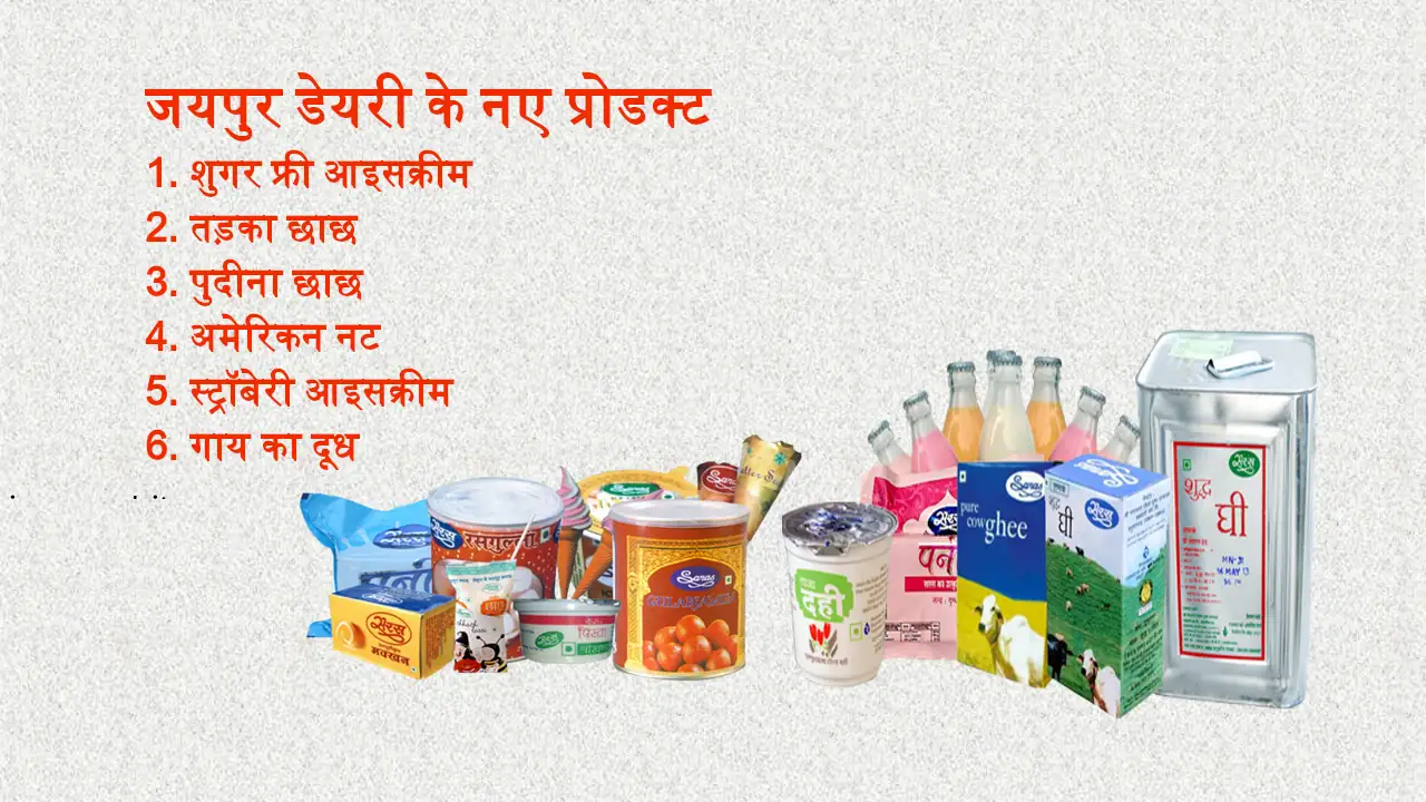 Jaipur Dairy Sugar Free Ice Cream Tadka Pudina Chach