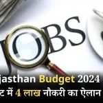 Jobs Budget in Rajasthan 2024