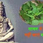 Sawan Month Cholai Saag Ke Fayde Aur Nuksan