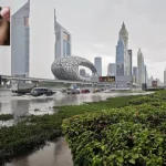 World Homeopathy Summit 2024 In Dubai