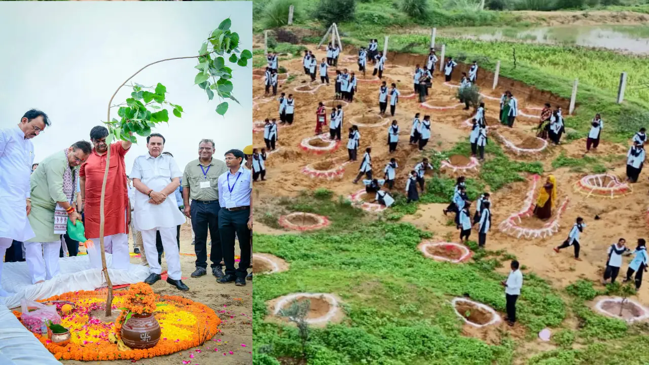 CM Bhajanlal Sharma In ek ped maa ke naam