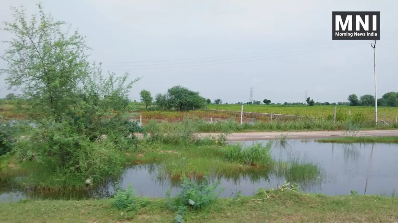 Heavy Rainfall Effects photo