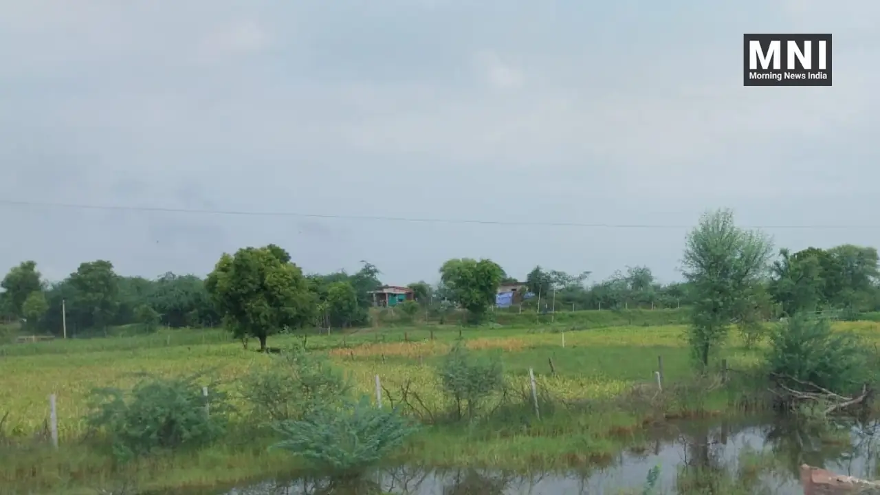 Heavy Rainfall Effects