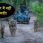 Ranthambore National Park