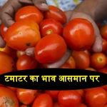 Tomato Price Increase In India