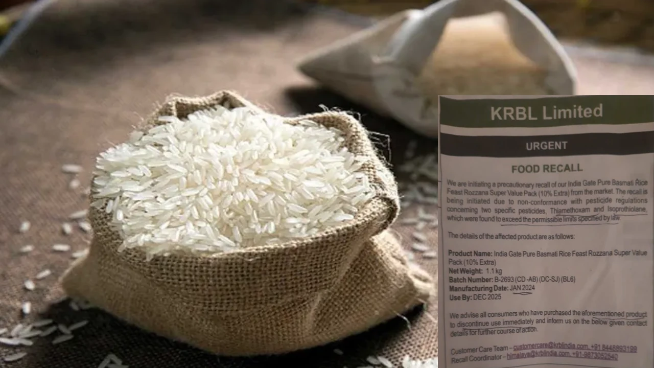 केआरबीएल शेयर प्राइस, KRBL Ltd, Find KRBL News Today, Shares of rice companies, KRBL, Kohinoor Foods, KRBL Share Price, India Gate Basmati Rice, KRBL Ld, India Gate Brand, India Gate, agriculture, agriculture news, agriculture india, इंडिया गेट बासमती चावल,india gate basmati rice