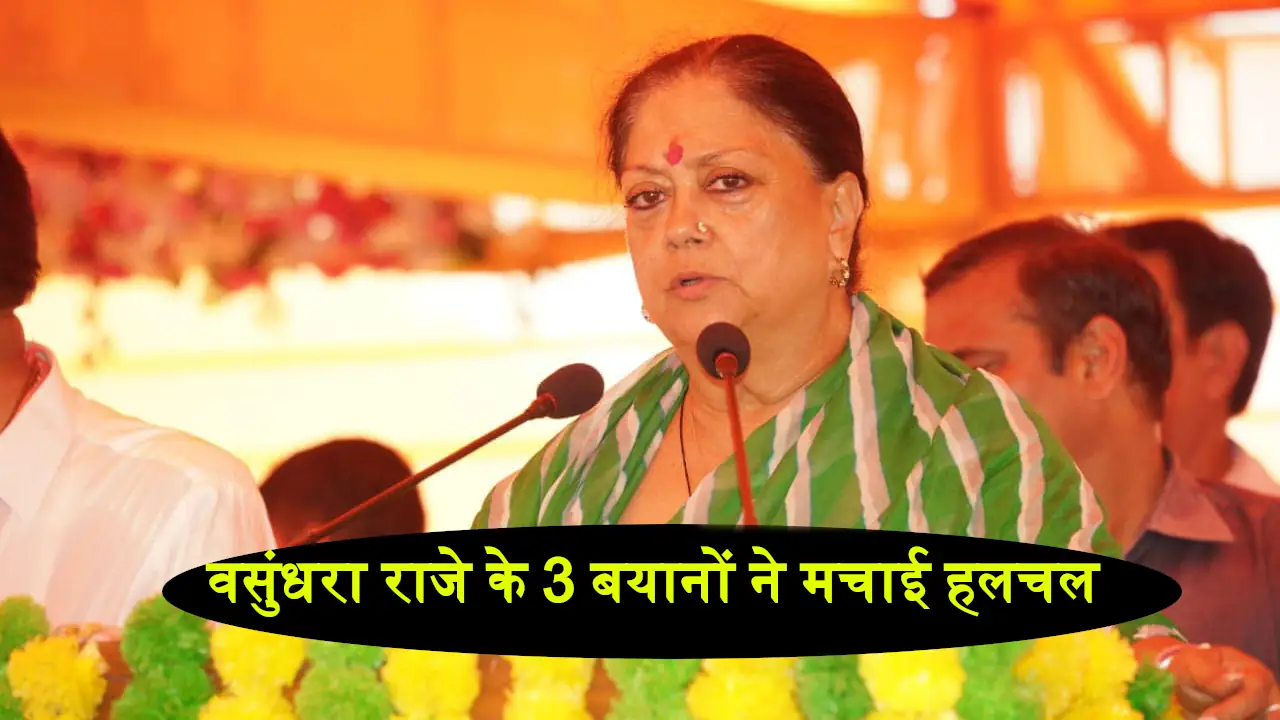 Vasundhara Raje Statements