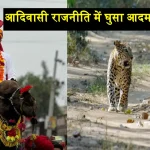 Panther in Udaipur