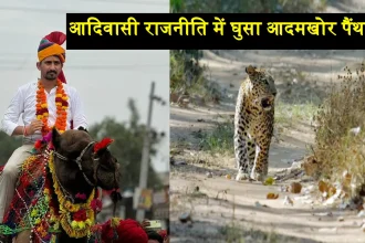 Panther in Udaipur